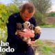 Guy Sees Puppies Dumped On Busy Highway | The Dodo