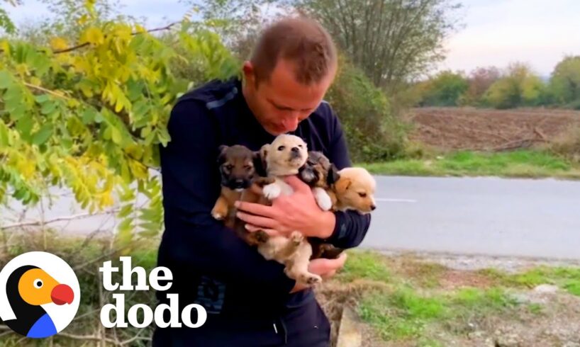 Guy Sees Puppies Dumped On Busy Highway | The Dodo