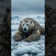 Heart Stopping Moment Polar Bear’s Fight for Freedom #animals #wildlife #shorts