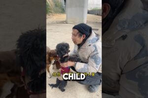 Homeless Man Gives Up Puppy To Save Him❤️#doglover #dogowner #dogshorts