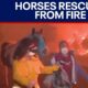 Horses rescued from Eaton fire in Southern California