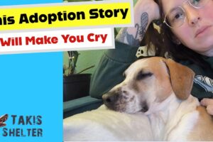 How Olympus Barely Escaped a Life of Being Chained - Takis Shelter- Takis Shelter