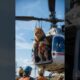 Injury Lion Rescued By Team with Helicopter #shorts #short #lion #animalrescue #animals #pets