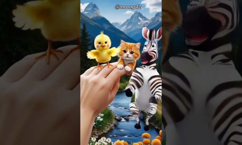 Kucing dan zebra lucu #cute #kucinglucuiimut #funny #cat #videoshort #animals #comedy