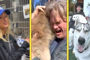 LA Fires: Heartwarming Animal Stories | Celebs Help as Owners Reunite With Lost Pets