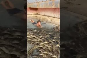 Legendary Kid Swims with Hundreds of Nile Crocodiles