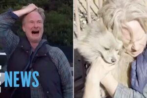 Los Angeles Wildfire Victim Has EMOTIONAL Reunion With Missing Dog 5 Days After Evacuation | E! News