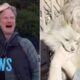 Los Angeles Wildfire Victim Has EMOTIONAL Reunion With Missing Dog 5 Days After Evacuation | E! News