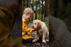 Lost Puppy in the Forest, A Heartwarming Rescue Story That Will Melt Your Heart