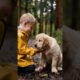 Lost Puppy in the Forest, A Heartwarming Rescue Story That Will Melt Your Heart