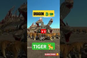 MIND BLOWING ANIMAL FIGHTS🔥 #shorts #ytshorts #shortsfeed #animals #hybrids #fusion #dragon #tiger