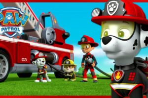 Marshall's Best Animal Rescue Moments +More Paw Patrol | Cartoons for Kids