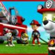 Marshall's Best Animal Rescue Moments +More Paw Patrol | Cartoons for Kids