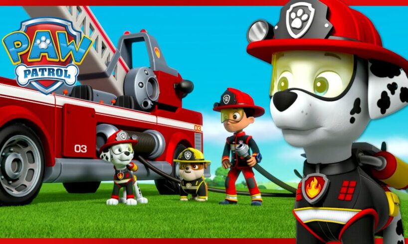 Marshall's Best Animal Rescue Moments +More Paw Patrol | Cartoons for Kids