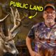 Mind-Blowing Trophy Room Packed with Public Land Bucks!