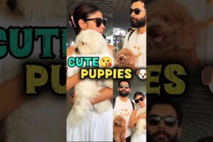 Mouni roy and her husband holding two cute puppies 🐶#mouniroy #puppies