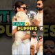 Mouni roy and her husband holding two cute puppies 🐶#mouniroy #puppies