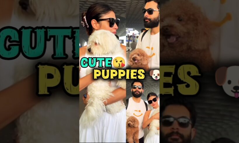 Mouni roy and her husband holding two cute puppies 🐶#mouniroy #puppies