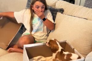 New Puppy Surprise Compilation 2024 🐶 Wholesome Surprise Moments