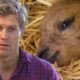 Non-Stop Bondi Vet: 3 Hours of Heartwarming Animal Rescues ❤️