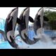 Orca Encounter (Full Show) - SeaWorld Orlando - April 8, 2021