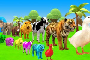 Paint Animals Duck,Tiger,Cow,Lion,Bear,Gorilla,Elephant,Dinosaur Fountain Crossing Animal Game New