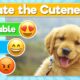 Rate the Cutest Dog | Dog Breed Tier List