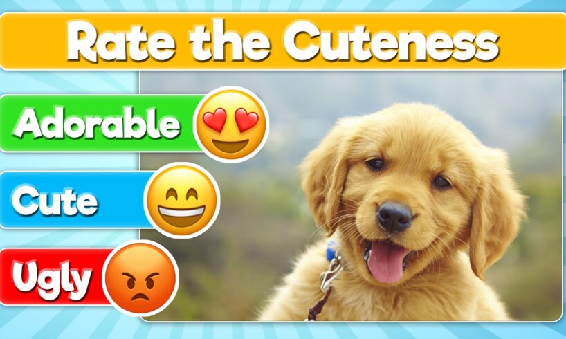 Rate the Cutest Dog | Dog Breed Tier List