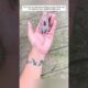 Rescue a baby mouse #animalshorts #shortvideo #animalrescue