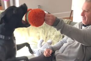 Rescue dog lights up when grandpa brings a toy