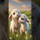 Sad story of goat kids #humanity #goat #goatlovers #shortsfeed #animals #cow #emotional #ai #shorts