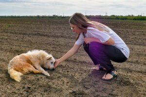 Senior Dog Tries to Find his Way Home After Being Abandoned Until He Got Exhausted