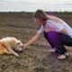 Senior Dog Tries to Find his Way Home After Being Abandoned Until He Got Exhausted