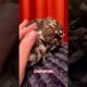 This girl rescued the heavy owl 🦉 #rescueanimals #animals #owl