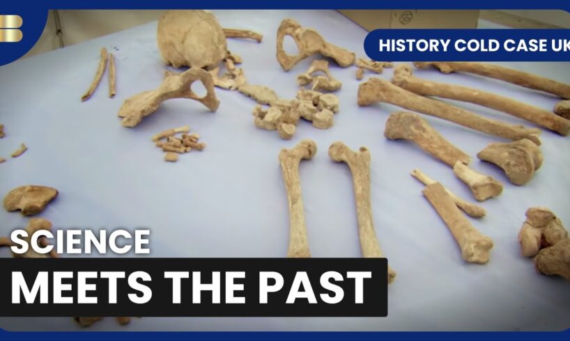 Uncovering Human Remains Compilation | History Cold Case UK