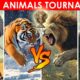 Wild Animals Tournament Battles | Animal Fight Dream