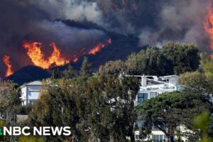 Wind storm hits peak as fires burn hundreds of acres in Los Angeles