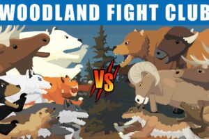 Woodland Fight Club [S1] | Animal Animation