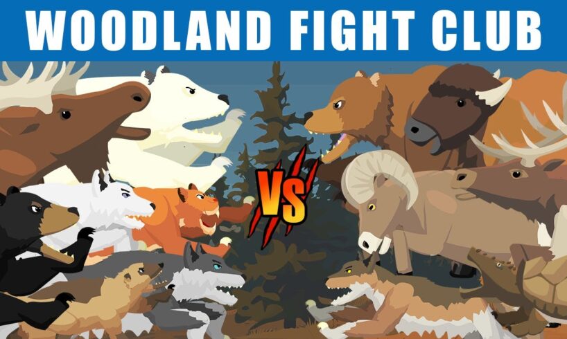 Woodland Fight Club [S1] | Animal Animation