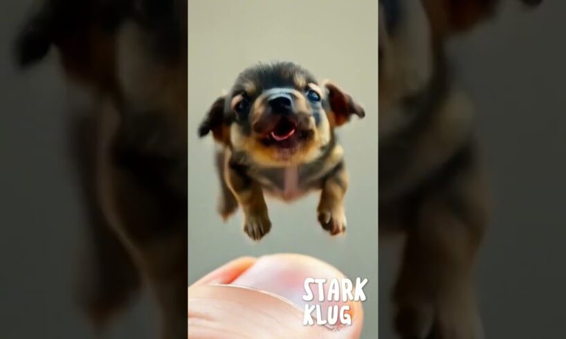 adorable little dog #shortvideo #cute #puppies #pets #doglover #aivideo