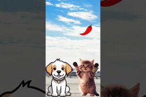 cute kitten and dog eating a chili and strawberry #cat #trendingshorts #cutecat #kucing