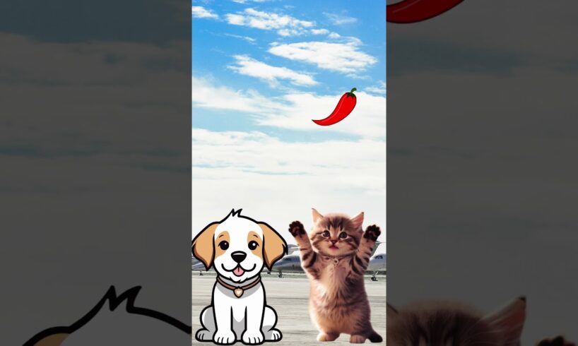 cute kitten and dog eating a chili and strawberry #cat #trendingshorts #cutecat #kucing