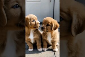 cute puppies adorable moments #puppy #pupies #dog #cutedog #cuteanimals #youtubeshorts #shorts #dogs