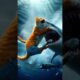 the struggle of cat father vs shark #cat #catlover #feedshorts #shortvideo #cats #ai