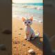 when a Sea-Horse kitten is attacked on the beach #cat #cute #story #ai