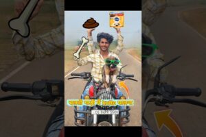 चलती🏍️गाड़ी में kutta🐶बनना? #funny #dog #new