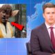 Weekend Update Jokes That You Have not Seen Before - SNL Compilation 103