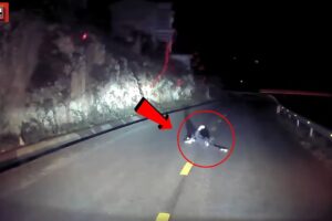 A drunk man's near-death accident on the road