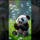 🐼✨ Adorable Baby Panda Plays with Magical Bubbles! 😍🎈#babyanimals #panda #babypandas