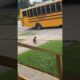 Adorable Puppy Welcomes Kid Home From School!